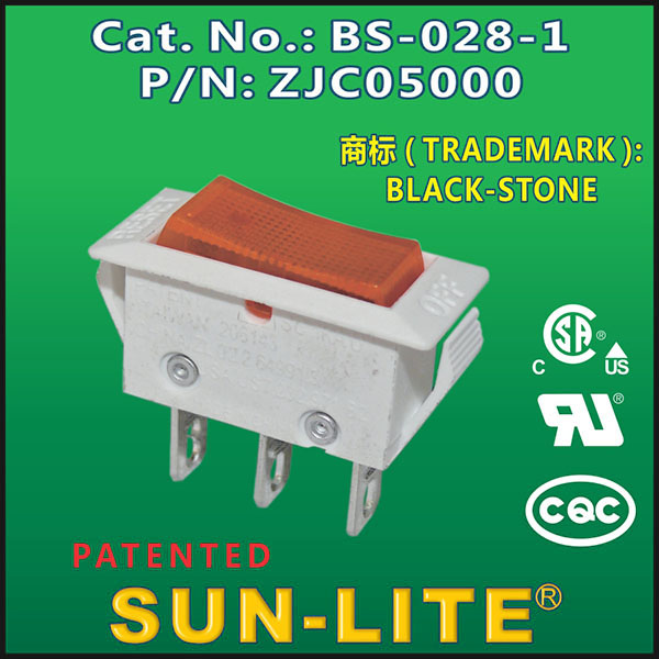 SWITCH WITH PROTECTOR ( 2 IN 1 SWITCH )